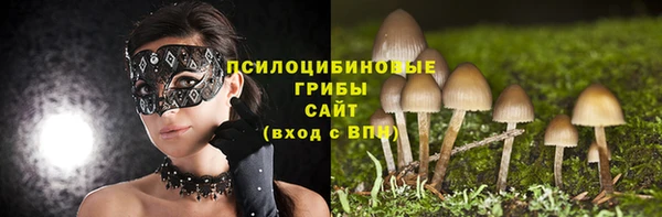 соль курить ск Алексеевка
