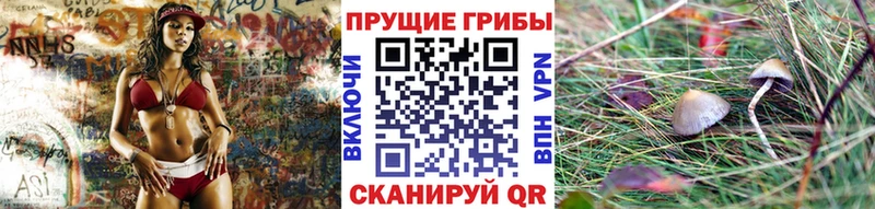 Галлюциногенные грибы MAGIC MUSHROOMS  Находка 