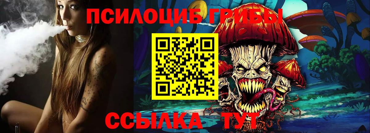 Псилоцибиновые грибы MAGIC MUSHROOMS Находка