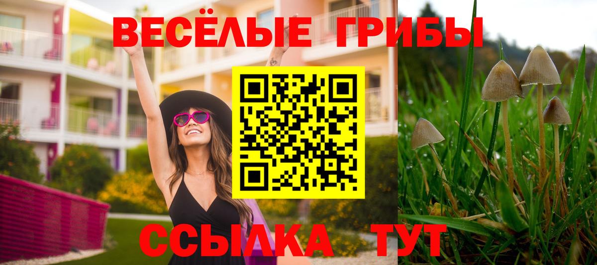 Псилоцибиновые грибы GOLDEN TEACHER  наркошоп  Находка  Вход с VPN 