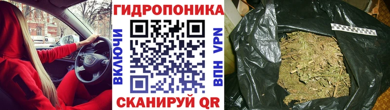 МАРИХУАНА сатива Находка